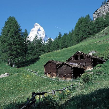 Apartment Zen Stecken A By Interhome Zermatt Eksteriør billede