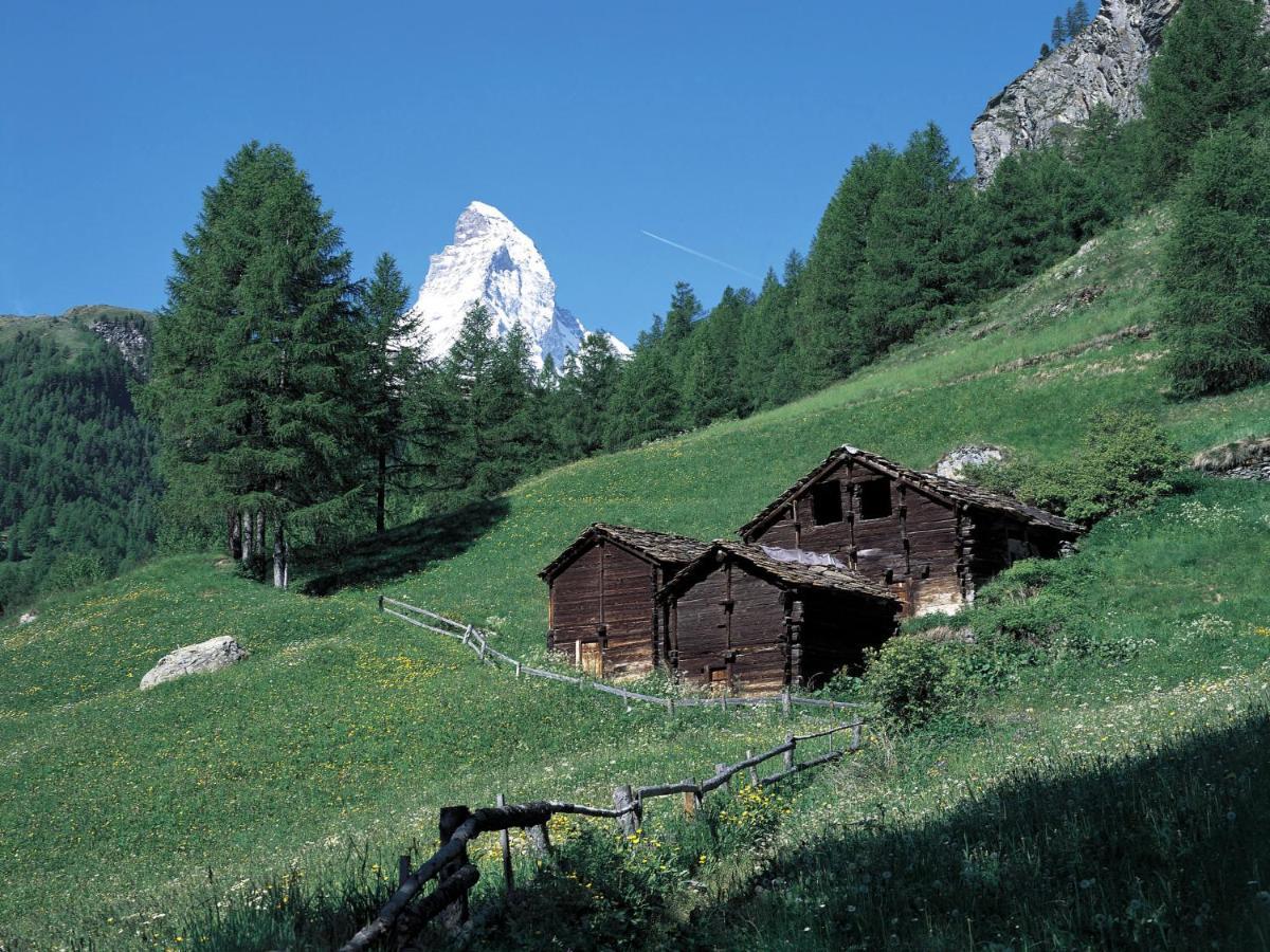Apartment Zen Stecken A By Interhome Zermatt Eksteriør billede