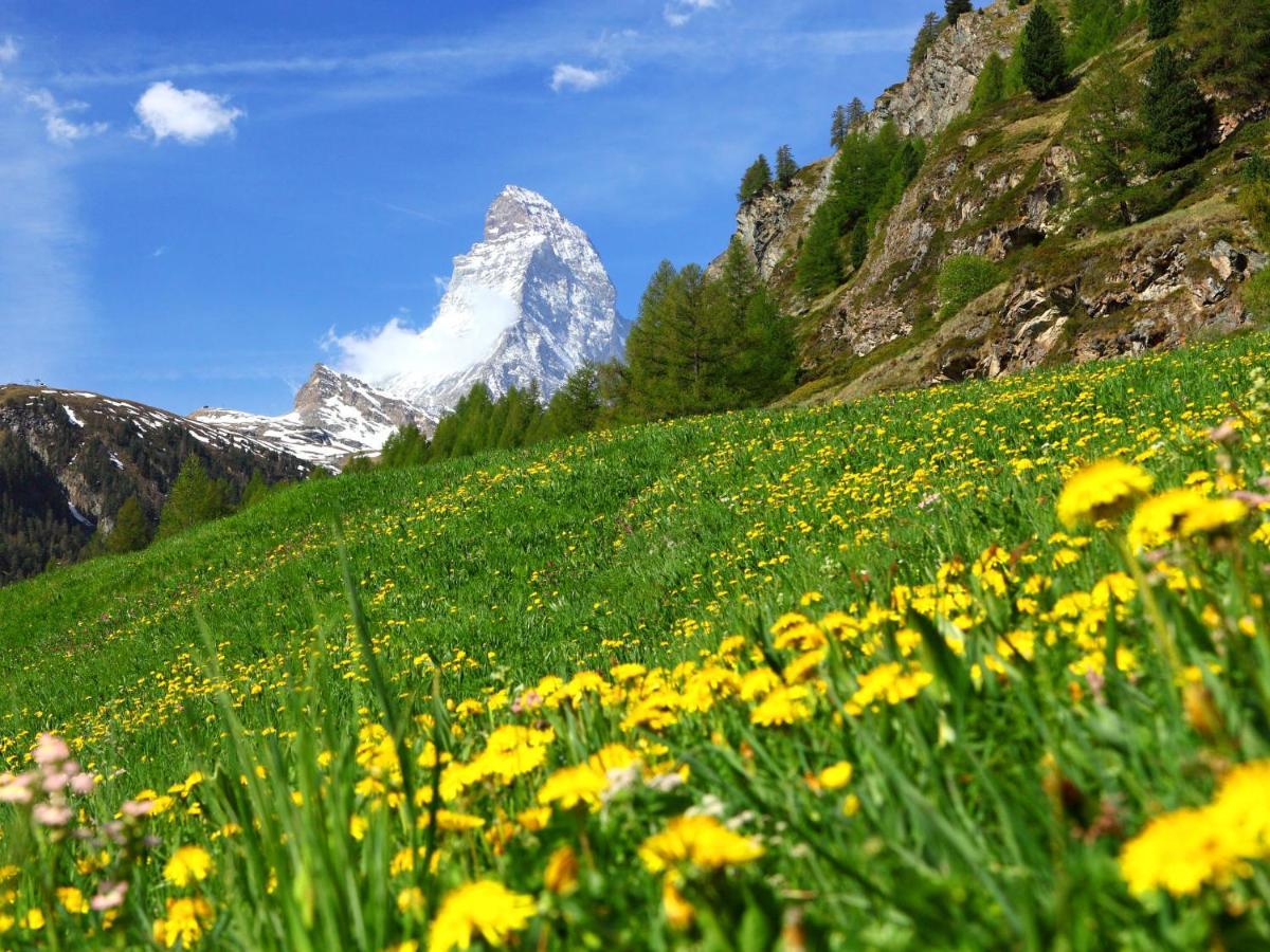 Apartment Zen Stecken A By Interhome Zermatt Eksteriør billede